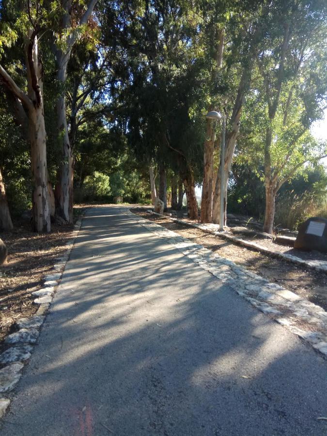 אצלנו - בגליל העליון Daire Kiryat Shmona Dış mekan fotoğraf